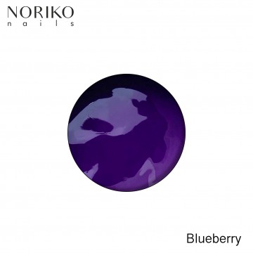 Blueberry Paint Gel Noriko Nails