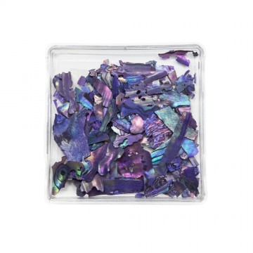Violet Crushed Shell
