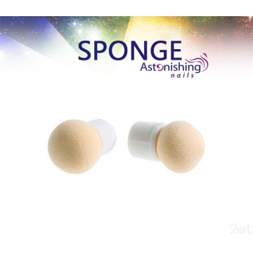 Sponge 2szt