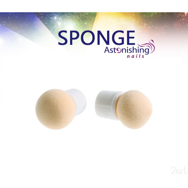 Sponge 2szt